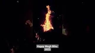 Bihu Celebration #bihu #maghorbihu #magh #axom #2023 #umiam #northeast #assam #assamese #assamtrend