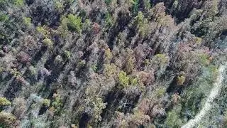 Drone Video of 23 acres at Chalk Bluff - ID#CB4749