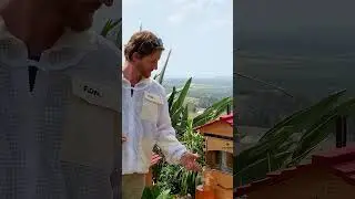 Honey Harvest Cedar office