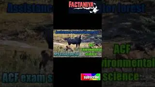 Environmental science for acf