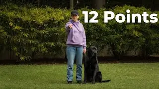 UKC Show Points Explained (and Why They Matter)