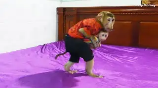 0hho Dodoo Walking Carry Zuji Like 0ldest Man, He Like Cuddle And Give Affection To Zuji