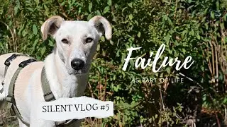Preparing the green house 🌱 | Brussels sprouts for dinner 🍽️ | Lüneburger Heide Silent Vlog