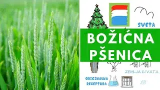 Božićna p&scaron;enica