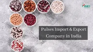 Pulses Import & Export Company in India - Pisum Foods