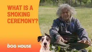 What Is A Smoking Ceremony? | The Dog House Australia | Channel 10