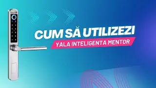 Cum sa utilizezi Yala Inteligenta Mentor
