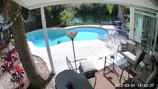 Pool Remodel Cam - Pebble Tec Install with ASMR Relaxing Ambient Music
