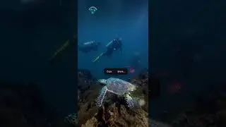 Turtle! Dive with us in Lombok! link in description #shorts