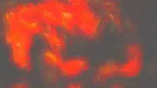 Lightning Bolt - Megaghost off Hypermagic﻿ Mountain (LIVE Eyedrum on July 4th 2010)