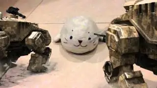 Claw attacks seal