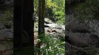 Nature Sound - ASMR Chreav Waterfall #asmr #stressrelief