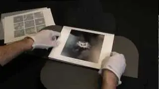 Botanica Obscura Fine Art Black And White Folios
