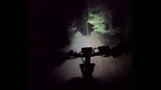 GH012916 Leskowiec - Ponikiew nocą we mgle