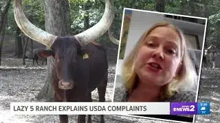 Lazy 5 Ranch Accused of Animal Abuse