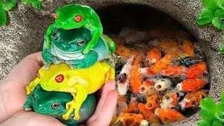 Catch Stunning Freshwater Aquarium Fish in Giant Colorful Eggs, Pingu Guppy, Turtles, Eel, Koi, Carp