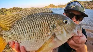 Awesome Afternoon of Tilapia (Bream/Kurper) Fishing