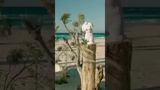 Marsa Baghoush Resort Al Sahel l Marsa Baghoush Sidi Heneish project