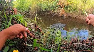 Tidak Banyak Orang Yang Tau Cara Mancing Ikan Ini, Padahal Dekat Desa Ikan Semelimpah Ini
