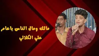 مالك ومال الناس ياعامر|الفنان/علي الكلالي