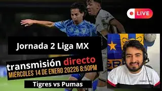 Tigres vs Pumas