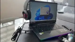 MSI GE66 Raider 10SF