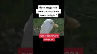 #мем 22