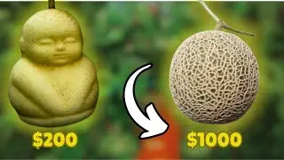 Unbelievably Expensive Fruits That Only Billionaires Can Afford