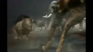 Put on character running away in zoo escape