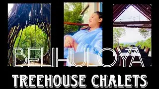 TreeHouse Chalets-Belihuloya#fyp#travel#trending#ytshorts#viral#ytshorts#shortfeed#love#how#calm#yt