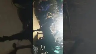Nunala Yarrayya gollasaduvu