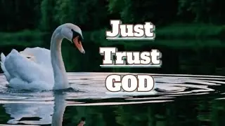 Just Trust God| Matthew 6:34 #jesuslovesyou#bibleverses #itrustgod