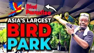 Inside Singapore Bird Paradise: Asia's Largest Bird Park