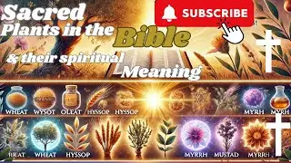 What the Bible REALLY says about plants & trees. #god #bible #plants #trees #faith