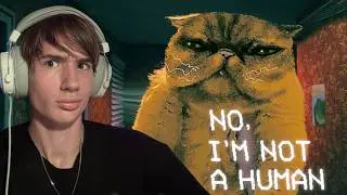 МАГИЧЕСКИЙ КОТ ➤ No, I&rsquo;m not a Human #2