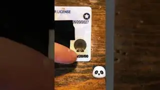How do you Spot a Fake ID from Indiana? Bouncer Tips (2022)