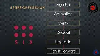 ONE 5P1N System Six Steps