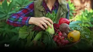 FAO-China SSC Program Resilience for Rural Livelihoods & Food Systems in CELAC Countries