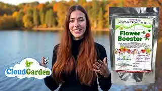 CloudGarden Flower Booster Organic Fruit flower Bud enhancer  Flower Drop controller granules