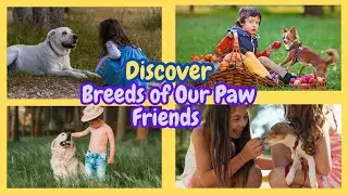 Doggy Tales: Exploring the Wonderful World of Dog Breeds!