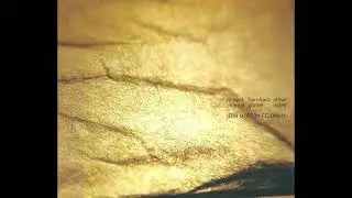 Richard Chartier / Bernhard G&uuml;nter / Steve Roden &ndash; (For Morton Feldman) / Full Album