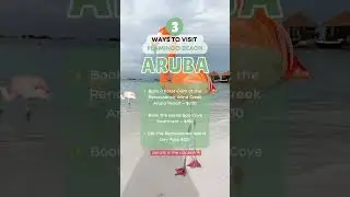 How To Visit Flamingo Beach in Aruba? 🦩 TOP 3 WAYS