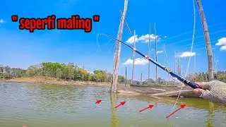 NIATNYA COBA-COBA‼️ TERNYATA DI DEKAT JARING INI BANYAK IKAN || mancing ikan nila di waduk lahor