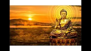 Buddha's Flowers Verse: Sunday Sermons