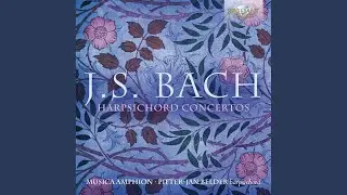 Harpsichord Concerto No. 2 in E-Flat Major, BWV 1053: III. Allegro