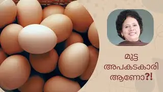 എത്ര മുട്ട എങ്ങനെ കഴിക്കണം | Dr Lizy K Vaidian