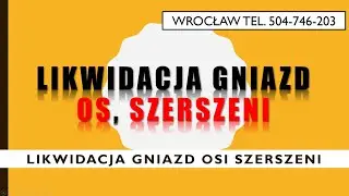 Likwidacja i usuwanie gniazd os, szerszeni cennik tel. 504-746-203, Wrocław. Na działce, strychu.
