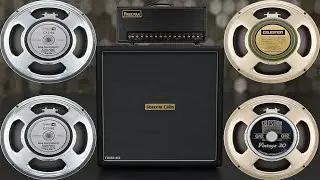 1 amp 4 Speakers - Seacow Cabs Fried412 Cab