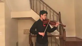 Carl Stamitz: Viola Concerto in D Major, Op. 1