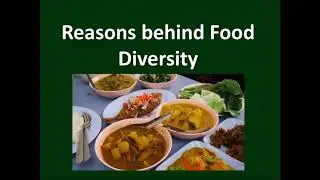 Food Diversity? Reasons behind the food diversity | Class 3 | CBSE Science